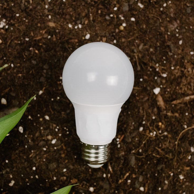 Light bulbs Logo