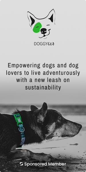Doggy Eco Banner v1