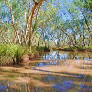 Paroo River North Native Forest Regeneration,  Australia Logo